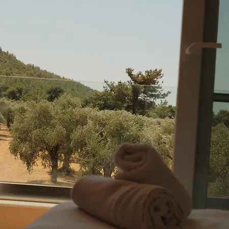 빌라 Ivanka's Skala Rachoni (Thasos)
