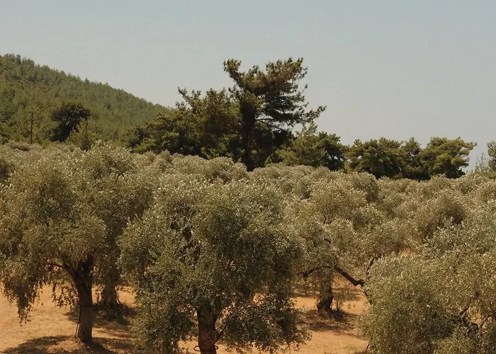 Ivanka's * Szkála Rahoníu