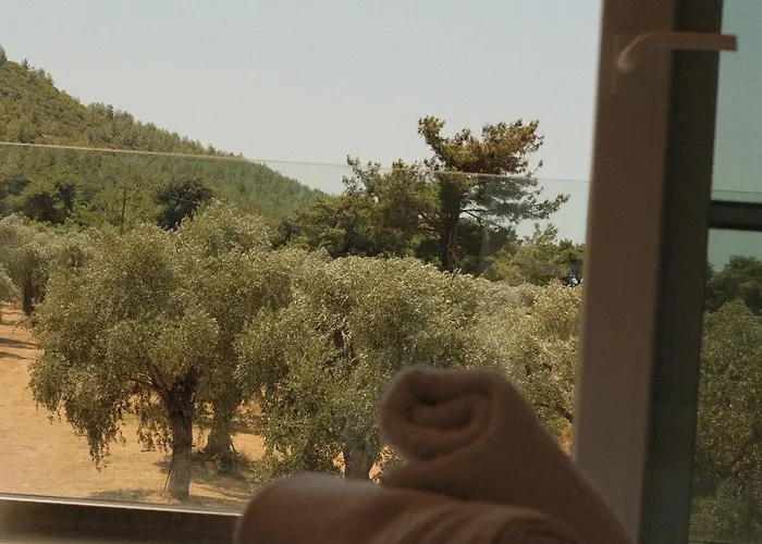 Vilă Ivanka's Skala Rachoni (Thasos)